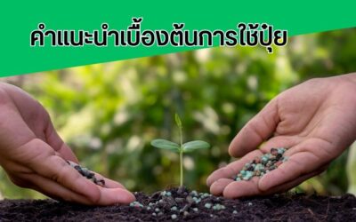 คำแนะนำเบื้องต้นการใช้ปุ๋ย  