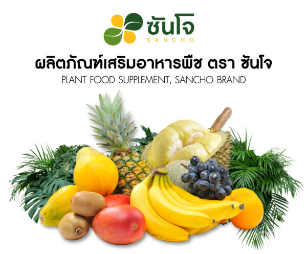 ซันโจ ซีวิดพลัส SANJOSEAWEED - Image 5